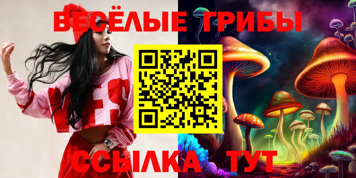 Псилоцибиновые грибы Psilocybe Городец