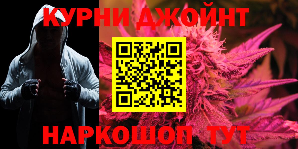 Конопля сатива Городец